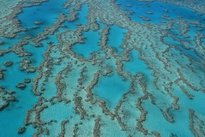-QLD OZ (88).jpg
